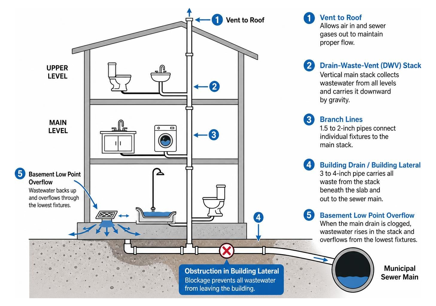 Drain waste vent stack hierarchy showing basement low point overflow Drain waste vent stack hierarchy showing basement low point overflow