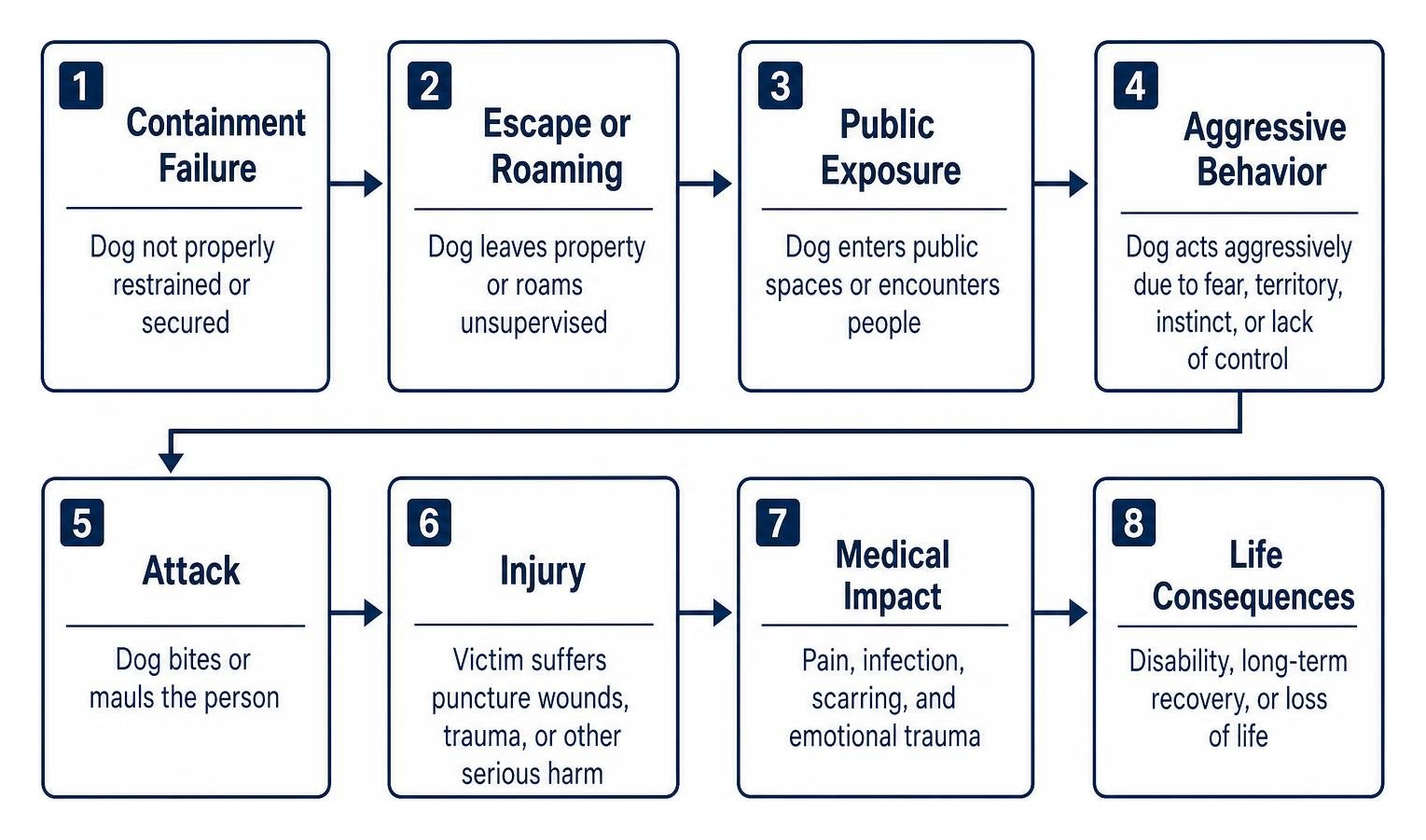 Sequence of factors leading from loose animal containment failure to injury Sequence of factors leading from loose animal containment failure to injury
