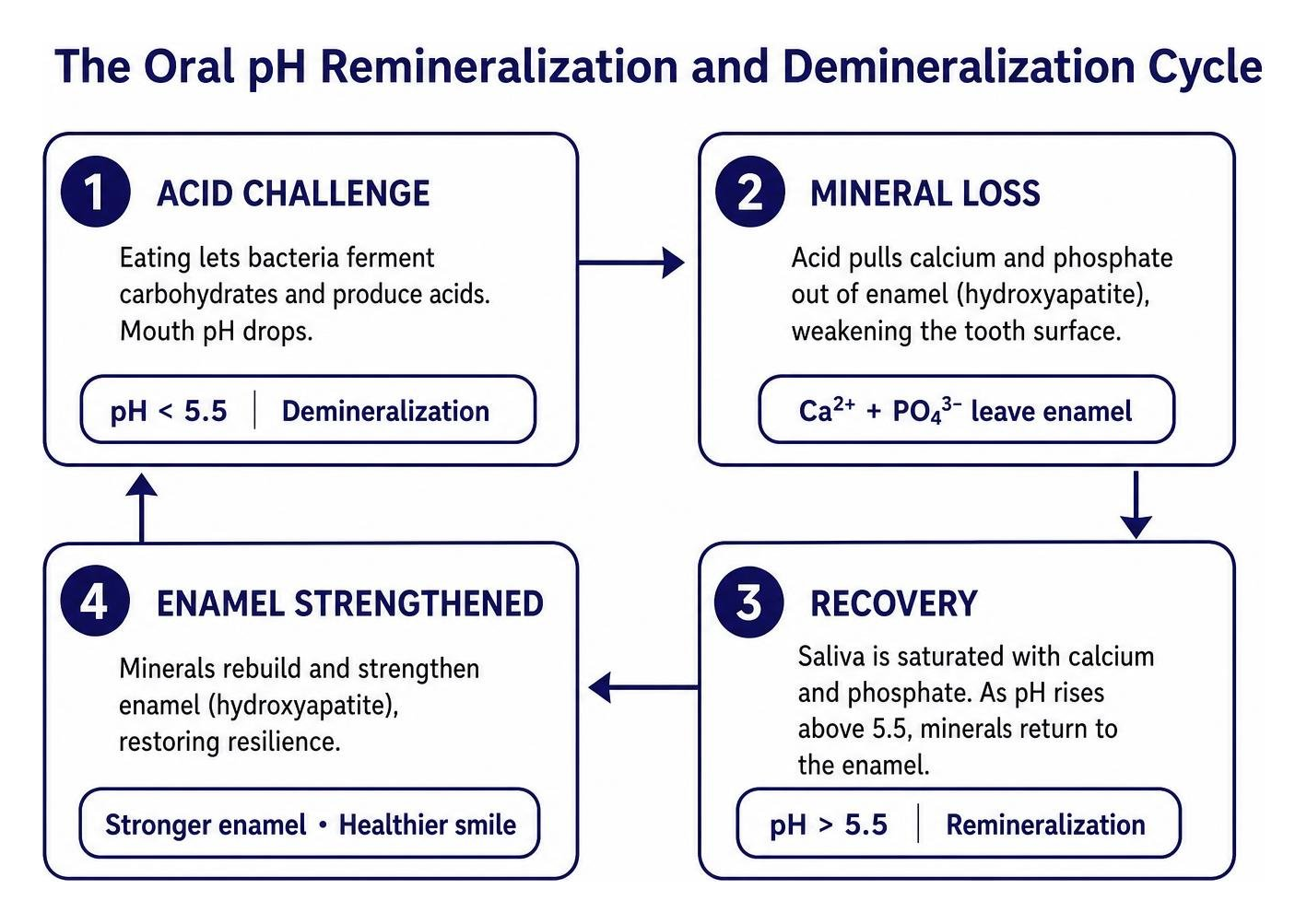 The oral pH remineralization and demineralization cycle