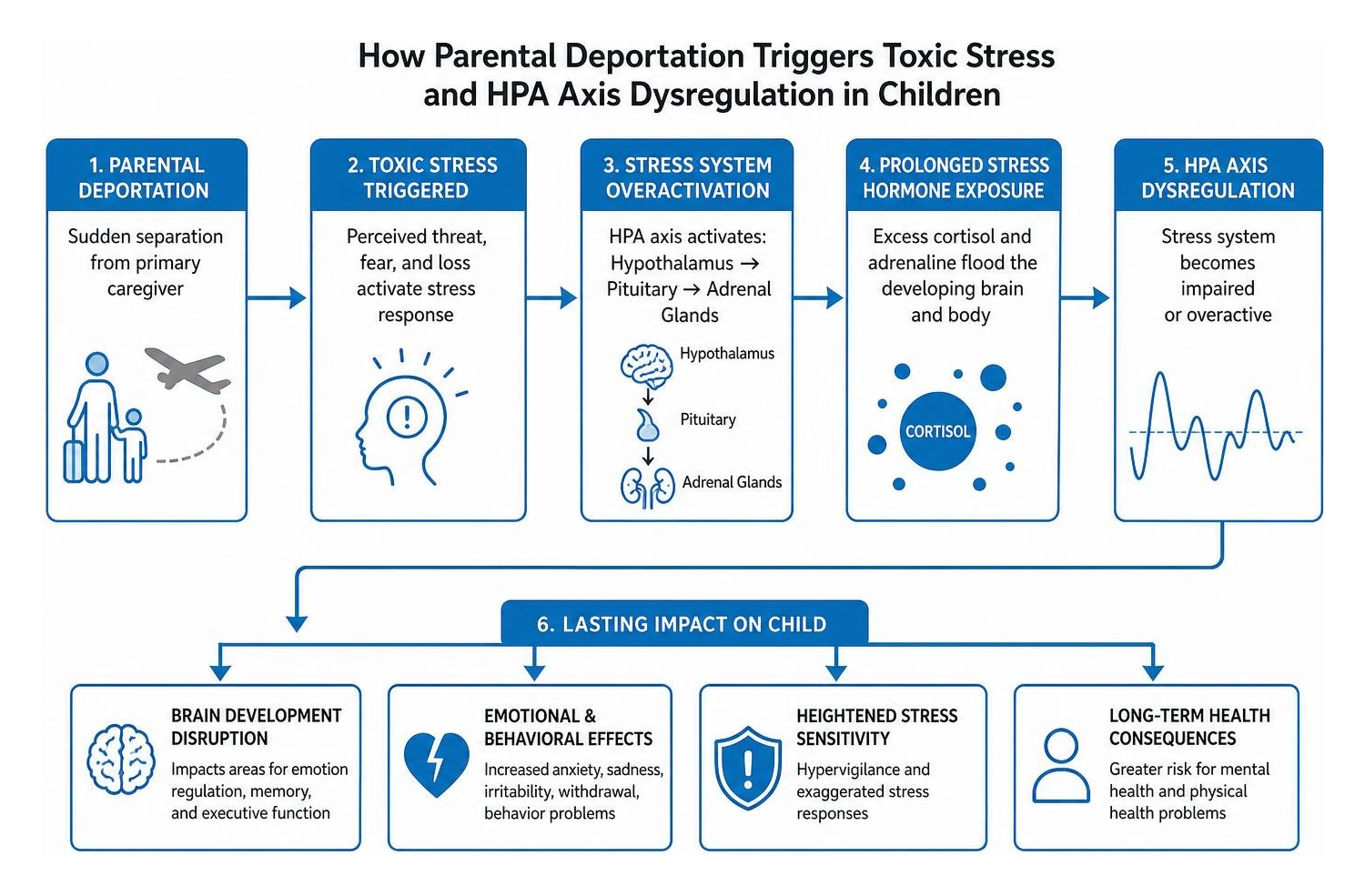 Diagram showing how parental deportation triggers toxic stress and HPA axis dysregulation in children Diagram showing how parental deportation triggers toxic stress and HPA axis dysregulation in children