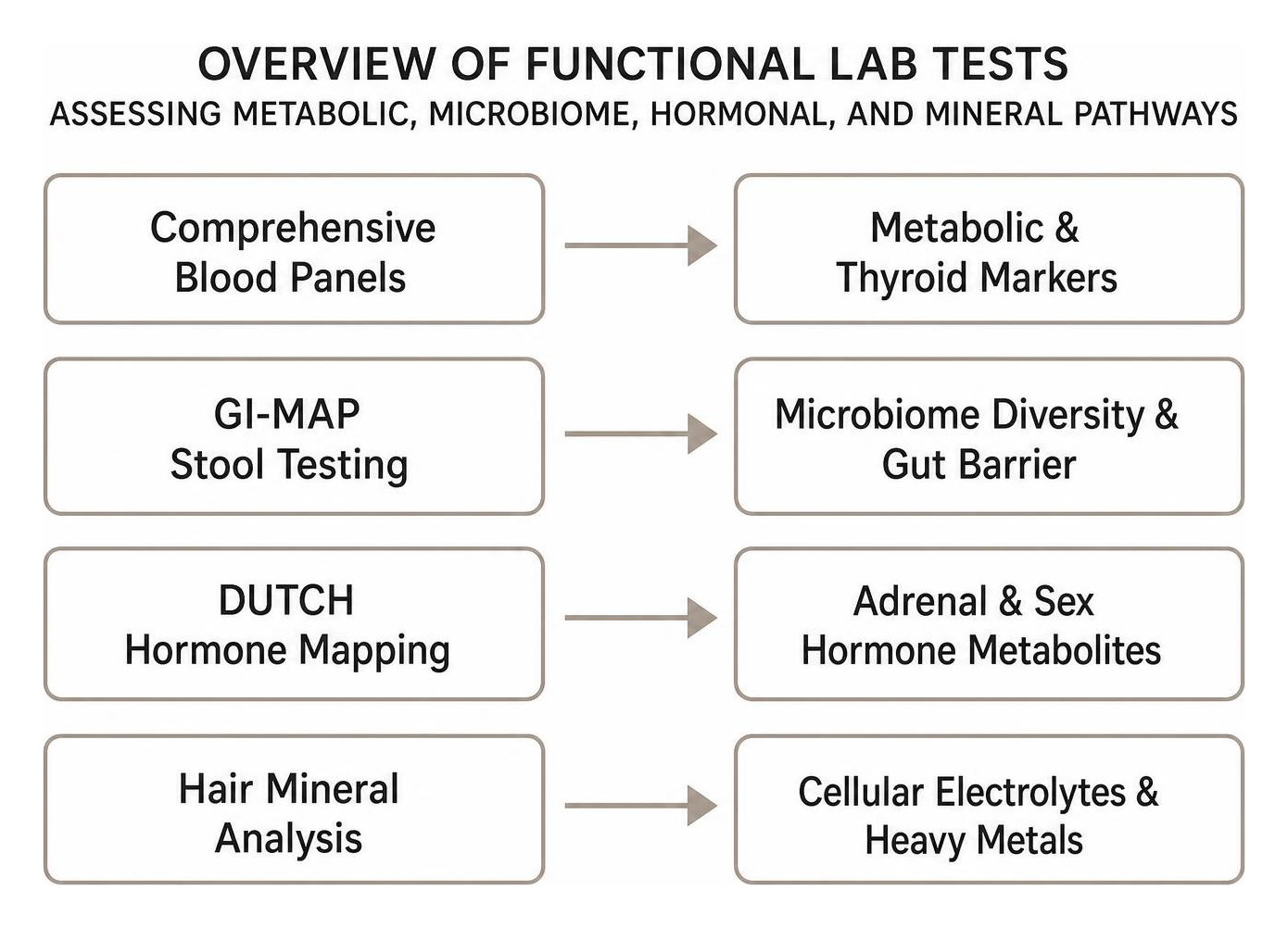 Overview of functional lab tests assessing metabolic, microbiome, hormonal, and mineral pathways Overview of functional lab tests assessing metabolic, microbiome, hormonal, and mineral pathways