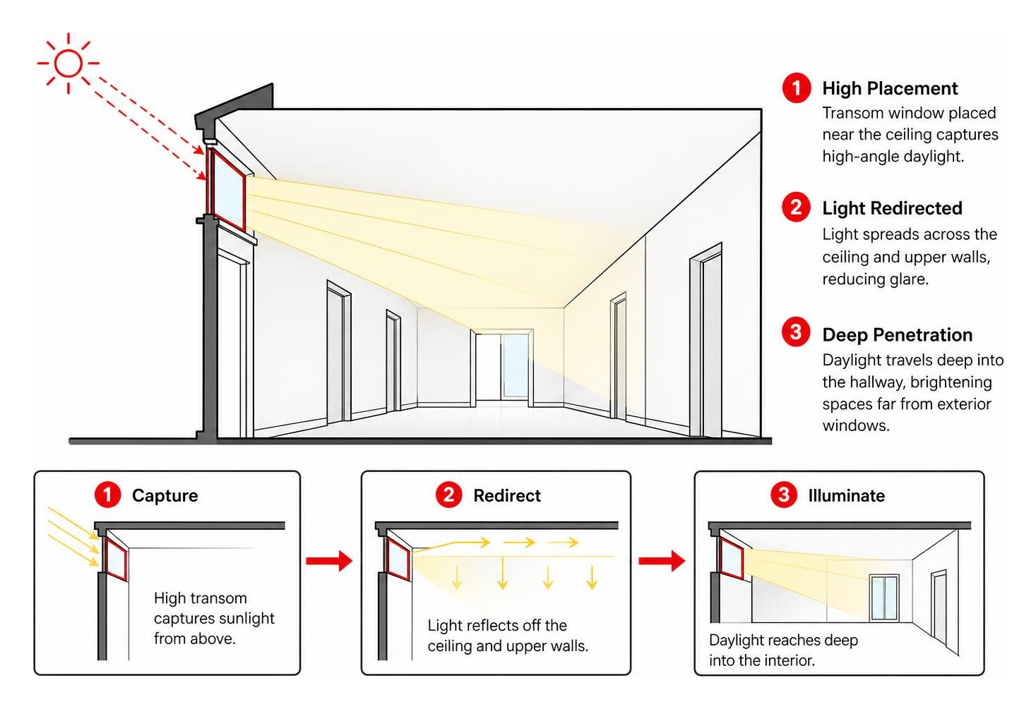 Diagram showing how high transom windows channel daylight deep into interior hallways Diagram showing how high transom windows channel daylight deep into interior hallways