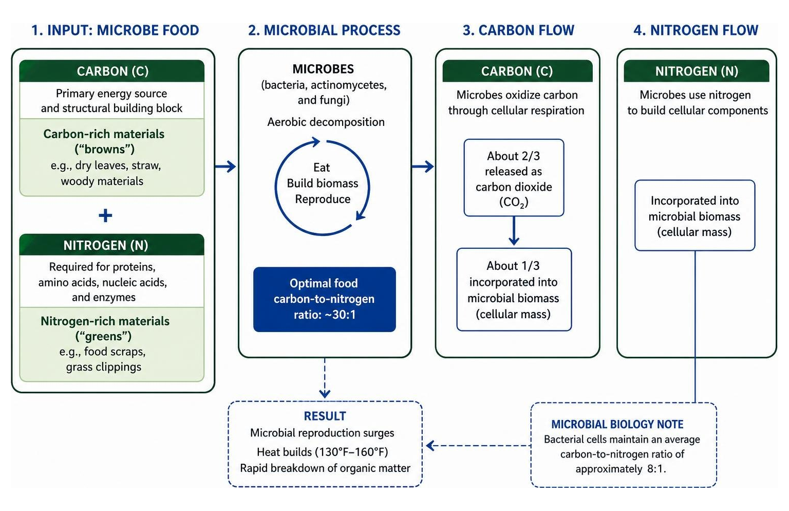 Microbial carbon and nitrogen decomposition process Microbial carbon and nitrogen decomposition process