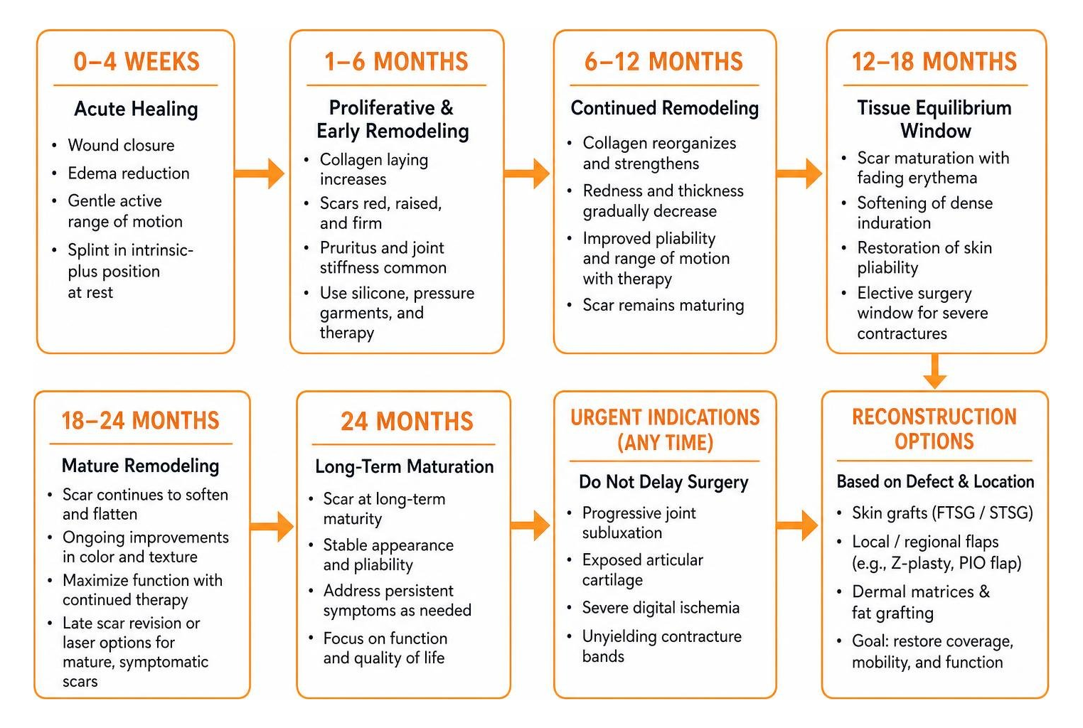 hand burn healing milestones from acute injury to month 24 hand burn healing milestones from acute injury to month 24
