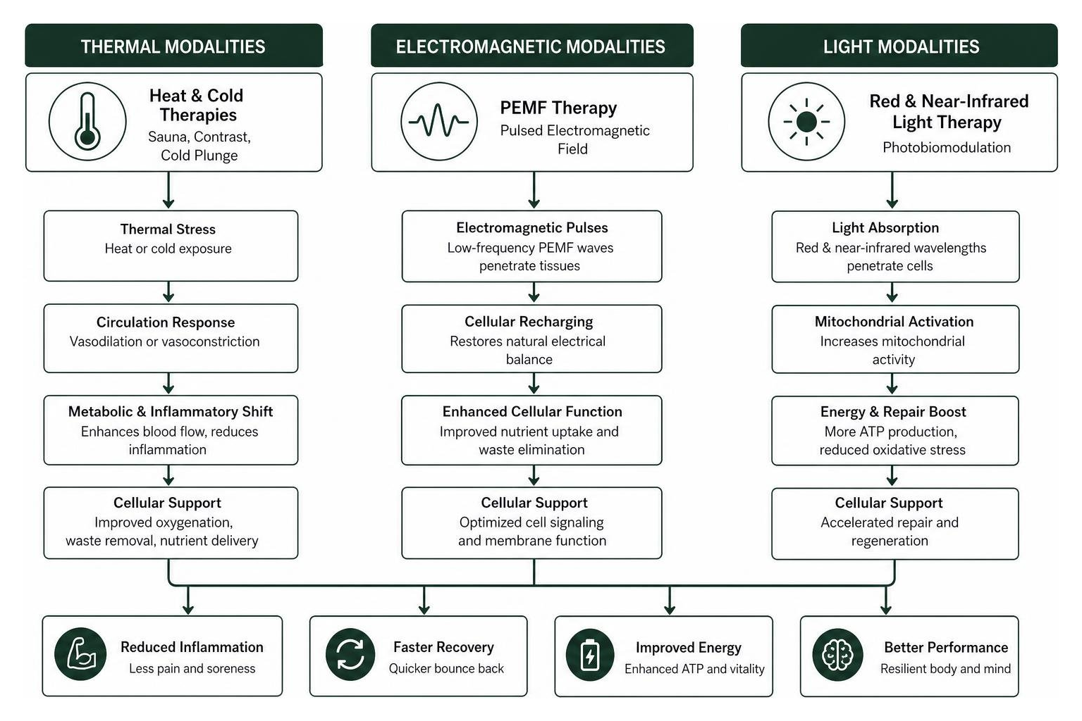 Diagram showing how thermal, electromagnetic, and light modalities work on cellular health and recovery Diagram showing how thermal, electromagnetic, and light modalities work on cellular health and recovery