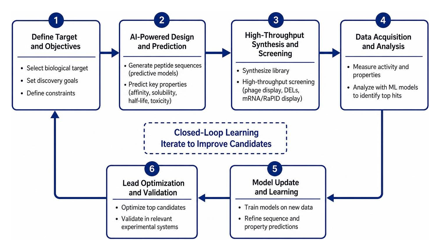 AI-driven closed-loop peptide discovery workflow AI-driven closed-loop peptide discovery workflow