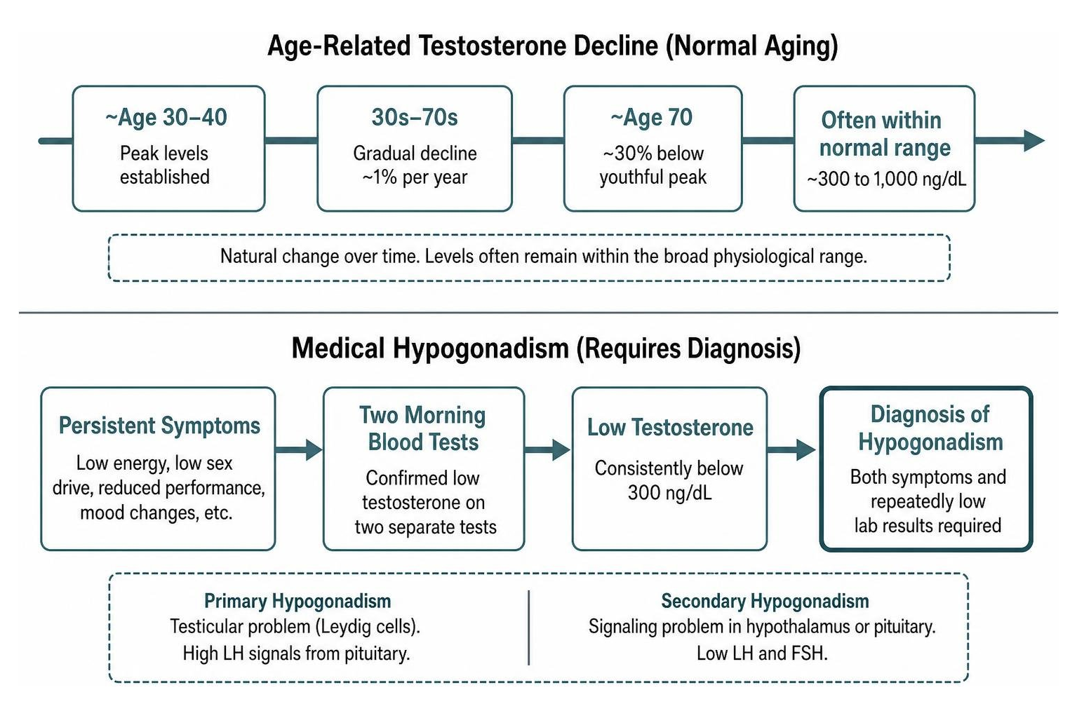 Age-related testosterone decline versus medical hypogonadism timeline