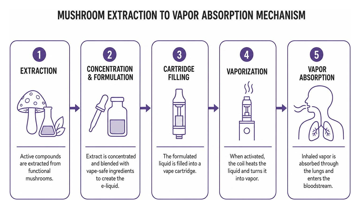 Mushroom extraction to vapor absorption mechanism Mushroom extraction to vapor absorption mechanism