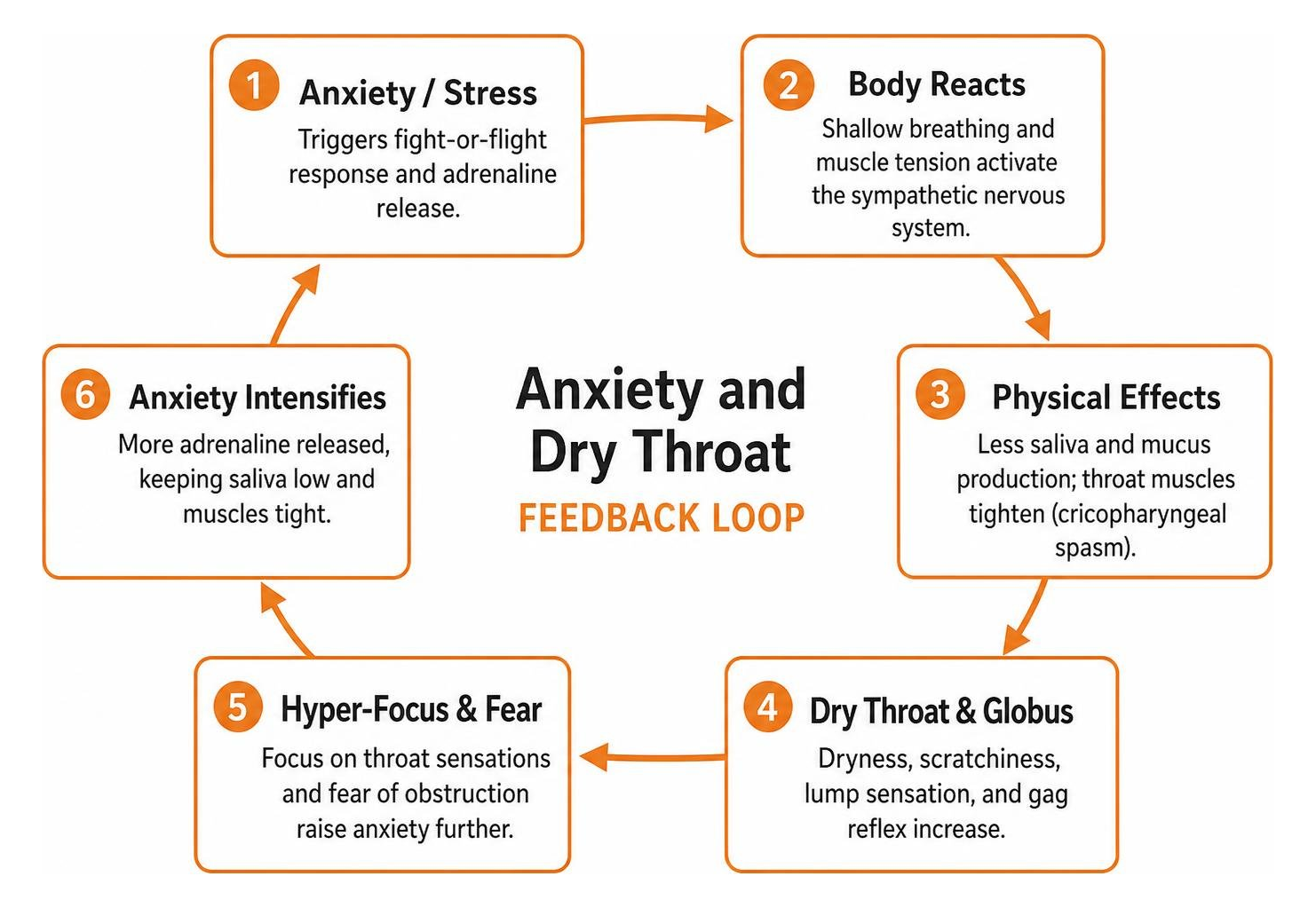 Anxiety and dry throat feedback loop
