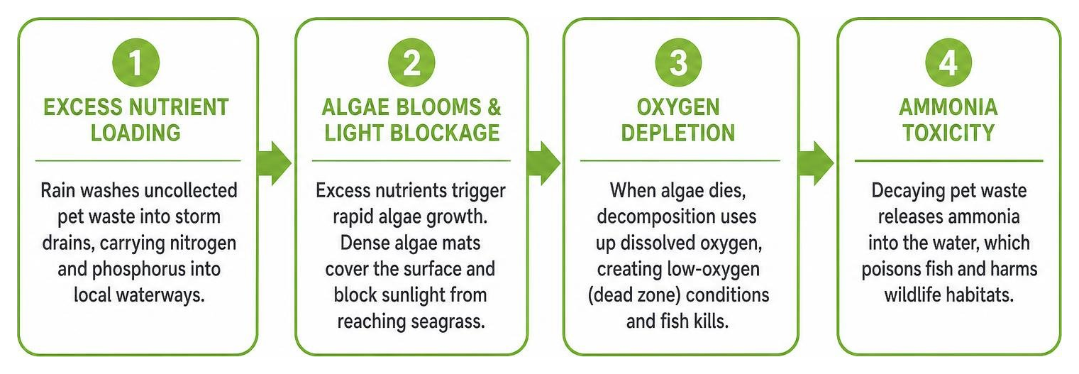 Cause and effect chain of uncollected pet waste in local waterways Cause and effect chain of uncollected pet waste in local waterways