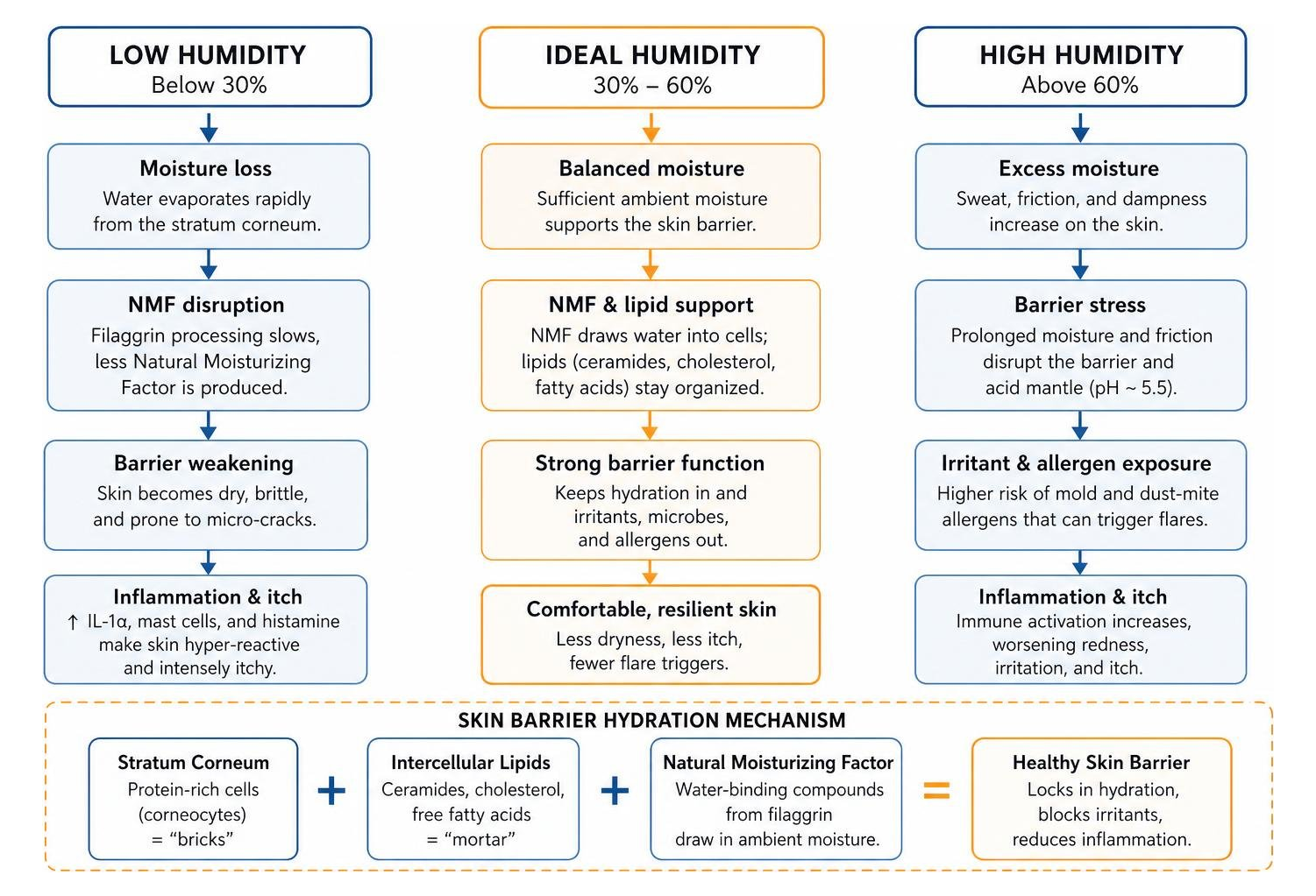 skin barrier hydration mechanism skin barrier hydration mechanism