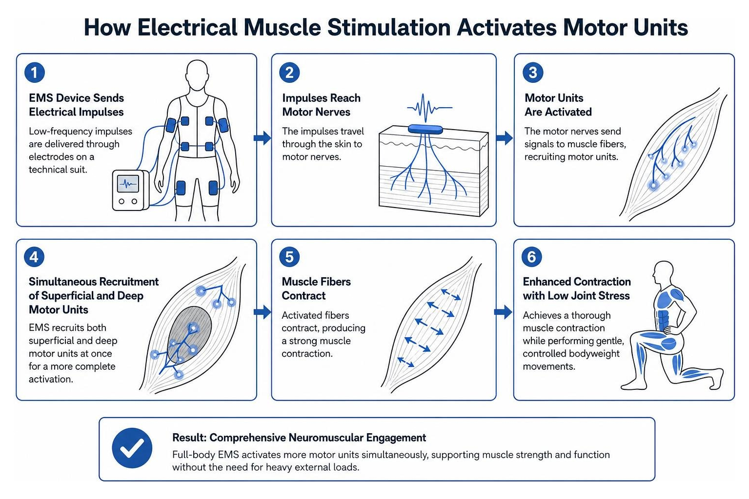 How electrical muscle stimulation activates motor units