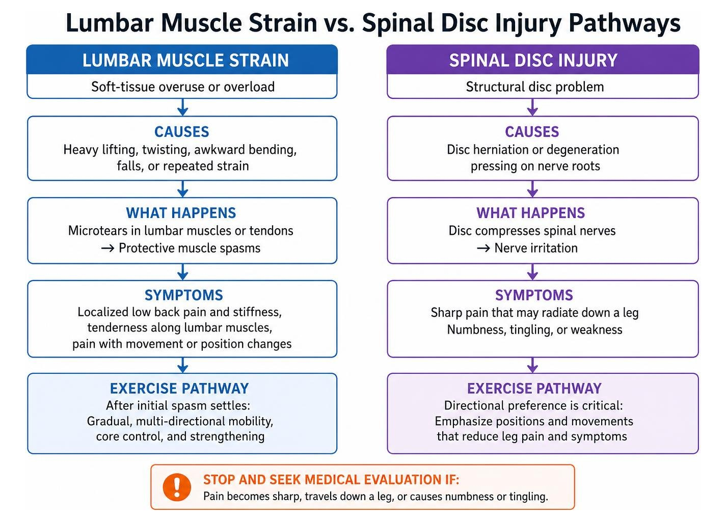 Lumbar muscle strain versus spinal disc injury pathways Lumbar muscle strain versus spinal disc injury pathways