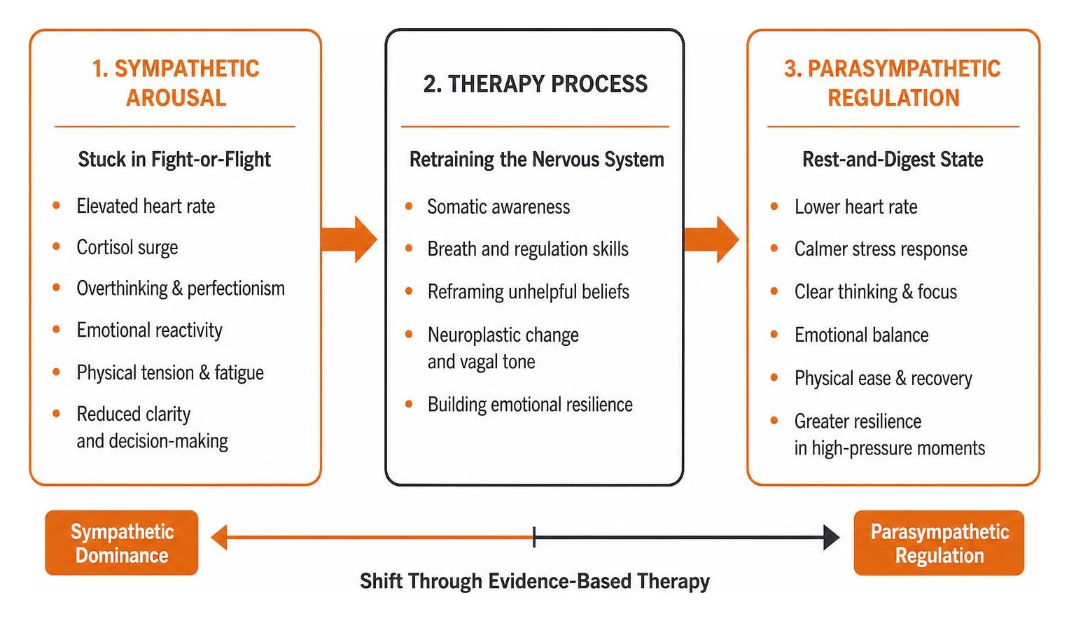 Autonomic nervous system moving from sympathetic arousal to parasympathetic regulation through therapy