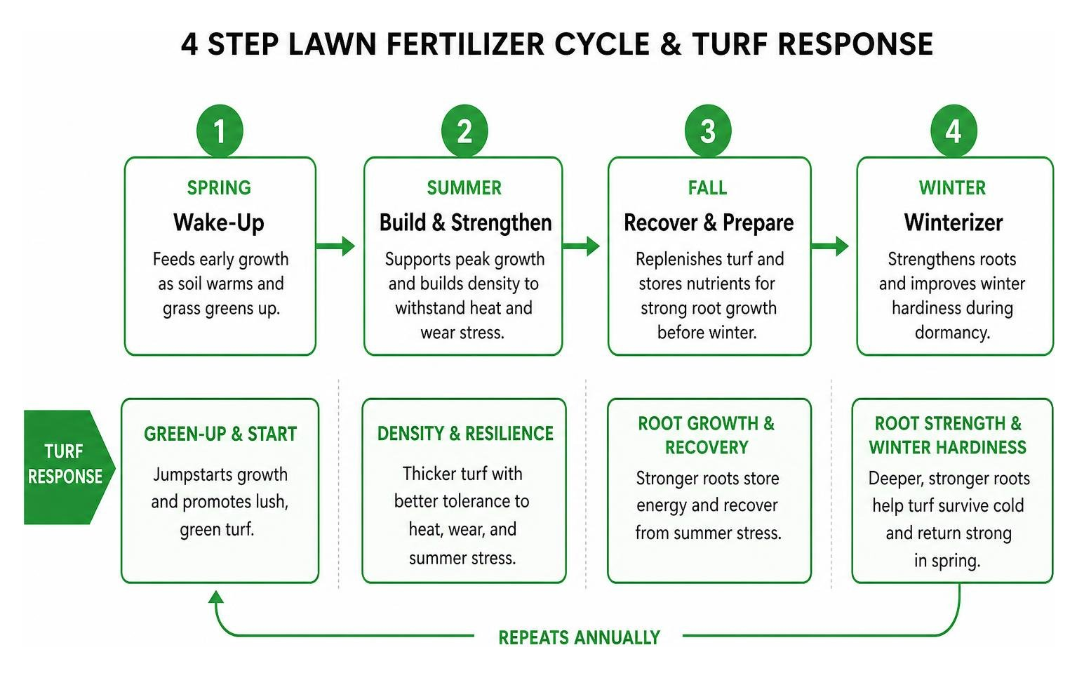 Seasonal four-step lawn fertilizer cycle and turf response