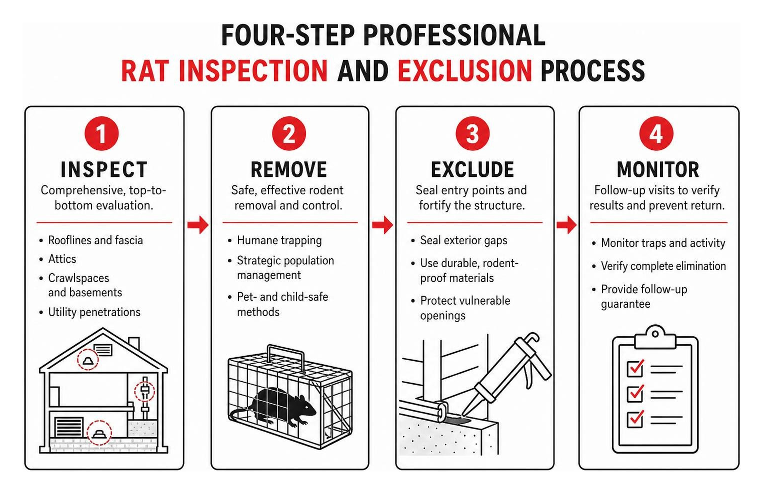 Four-step professional rat inspection and exclusion process Four-step professional rat inspection and exclusion process
