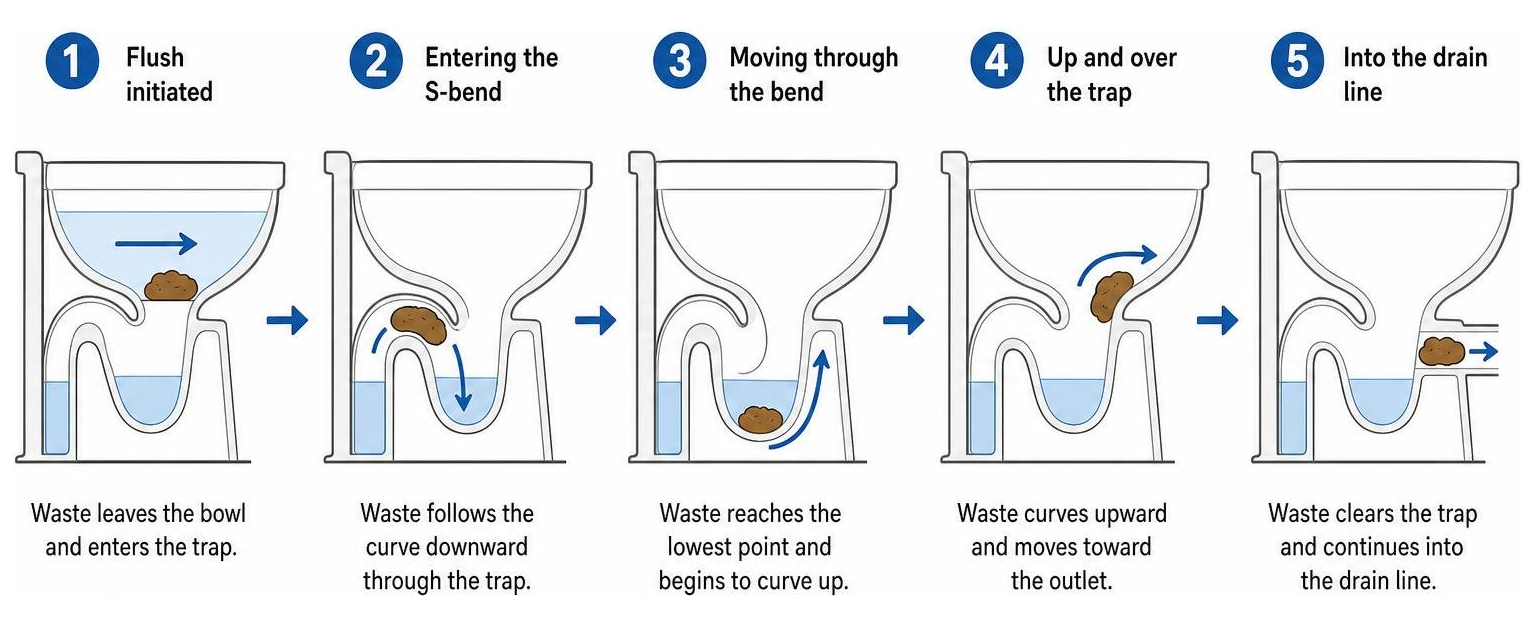 Step-by-step diagram of how waste navigates the S-bend trap