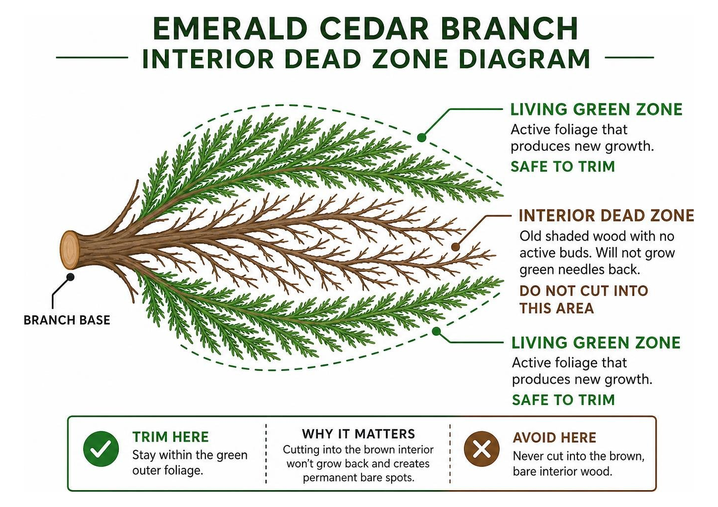 emerald cedar branch interior dead zone diagram emerald cedar branch interior dead zone diagram