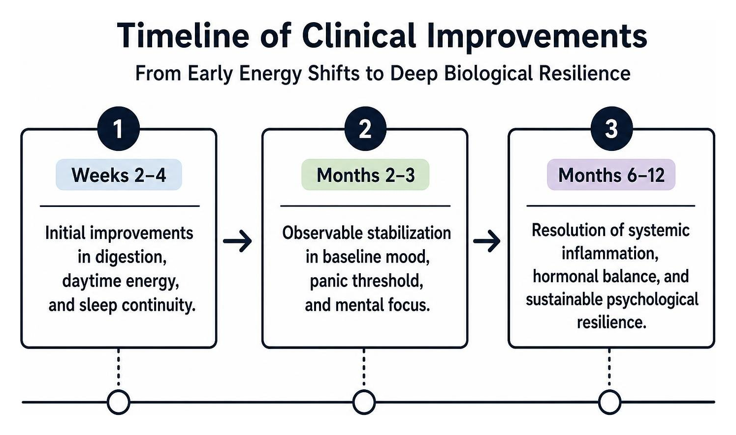 Timeline of clinical improvements from early energy shifts to deep biological resilience Timeline of clinical improvements from early energy shifts to deep biological resilience