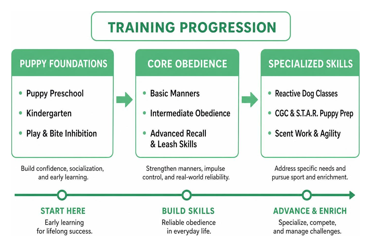 Diagram of training progression from basic manners to specialized sport and reactivity management