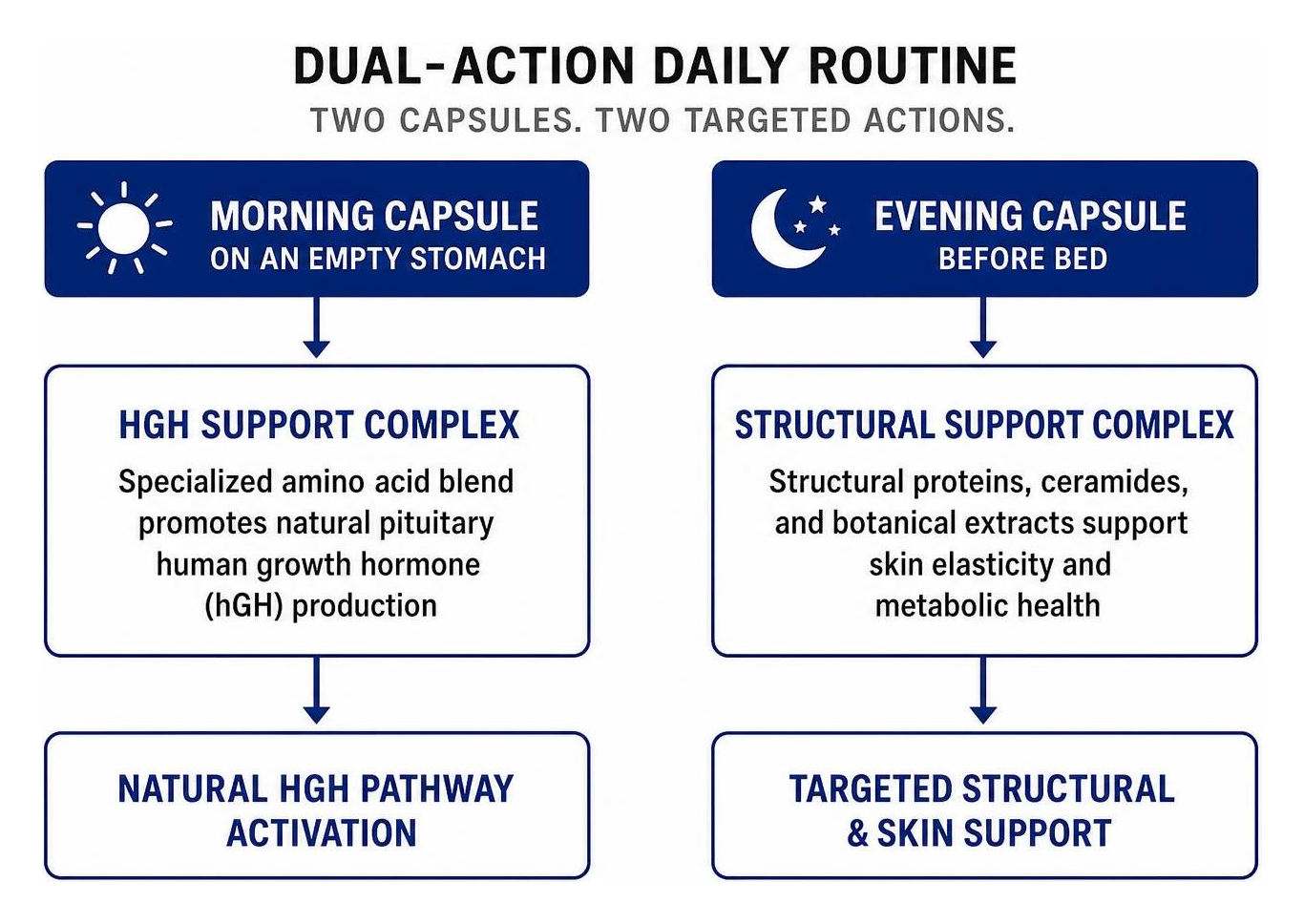 SeroVital Advanced dual-action morning and evening capsule routine SeroVital Advanced dual-action morning and evening capsule routine
