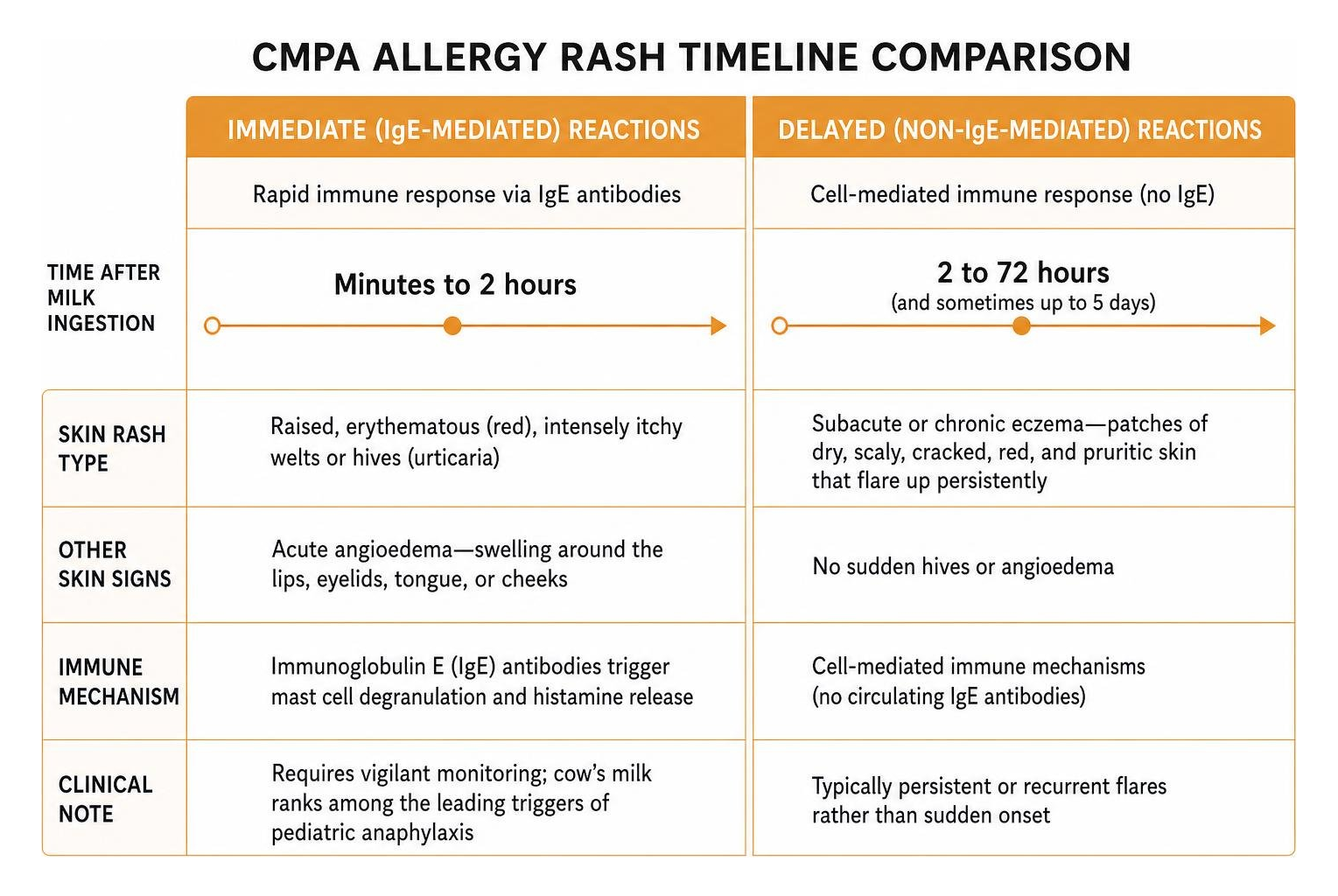 Timeline comparison between immediate IgE reactions and delayed non-IgE reactions