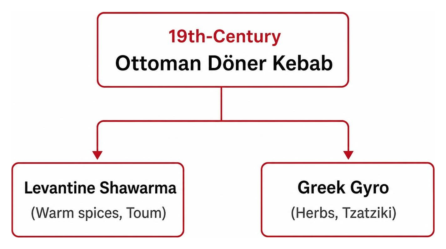 Evolution tree showing how Ottoman döner kebab split into Levantine shawarma and Greek gyro Evolution tree showing how Ottoman döner kebab split into Levantine shawarma and Greek gyro