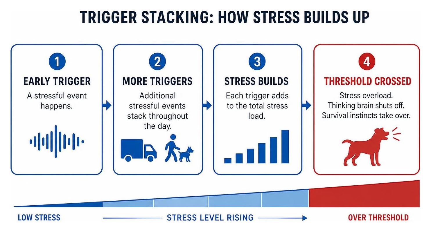 Diagram showing how trigger stacking pushes a dog over stress threshold Diagram showing how trigger stacking pushes a dog over stress threshold