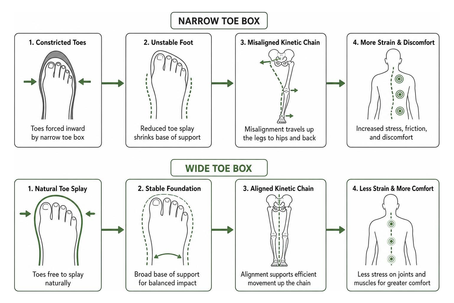 How toe box width affects kinetic chain alignment How toe box width affects kinetic chain alignment