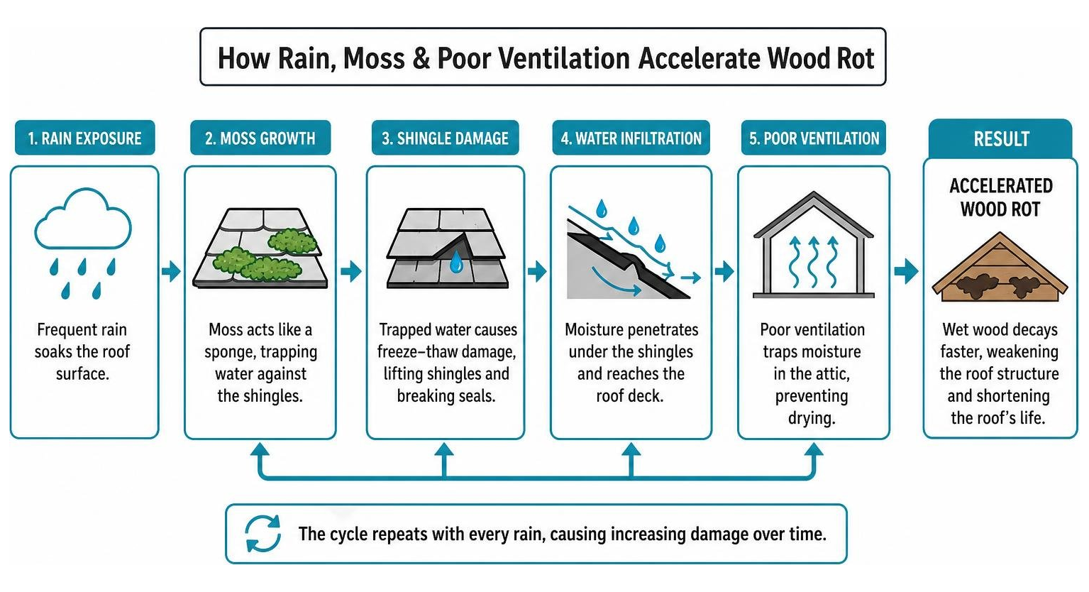 diagram showing how rain moss and poor ventilation combine to accelerate wood rot in rainy climates diagram showing how rain moss and poor ventilation combine to accelerate wood rot in rainy climates