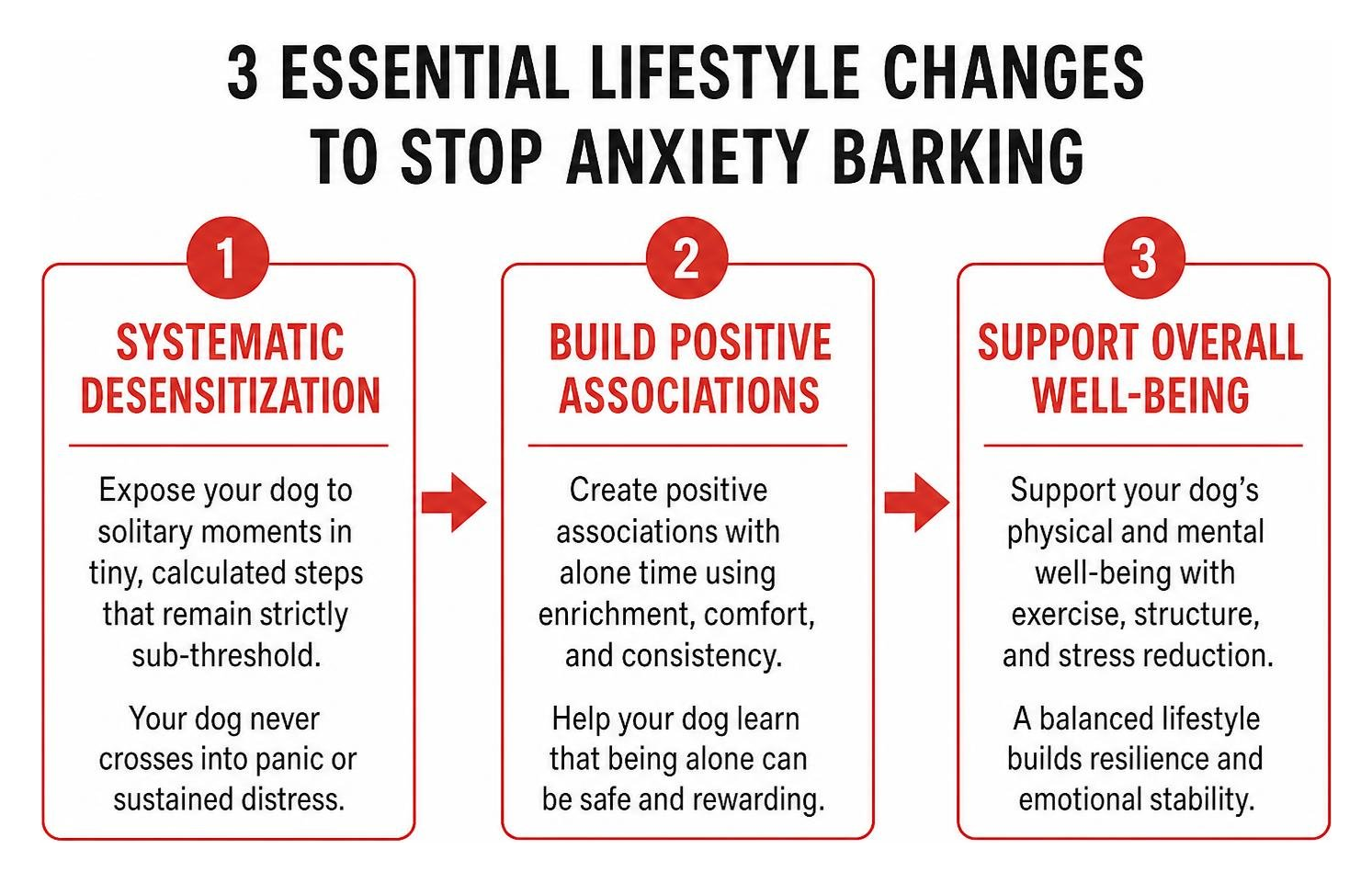 Step-by-step framework for separation anxiety lifestyle changes