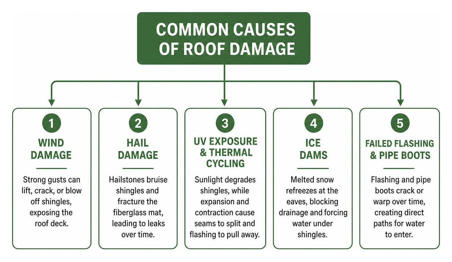 Common causes of roof damage diagram Common causes of roof damage diagram