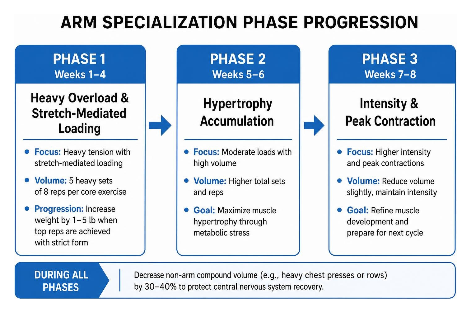 Arm specialization phase progression diagram
