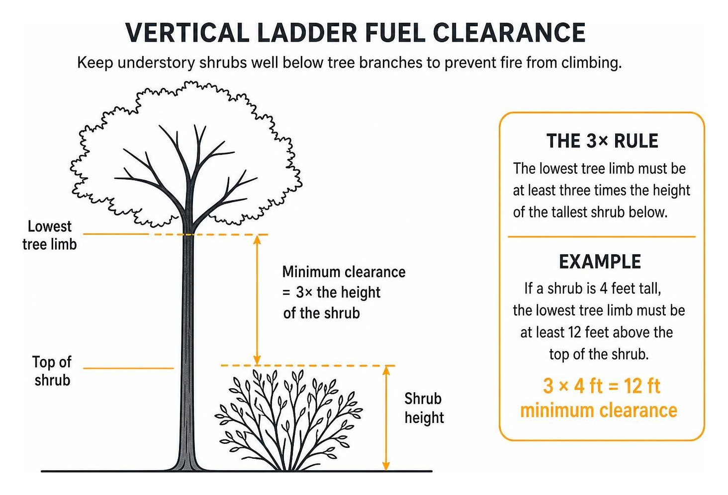 Diagram of vertical ladder fuel clearance Diagram of vertical ladder fuel clearance