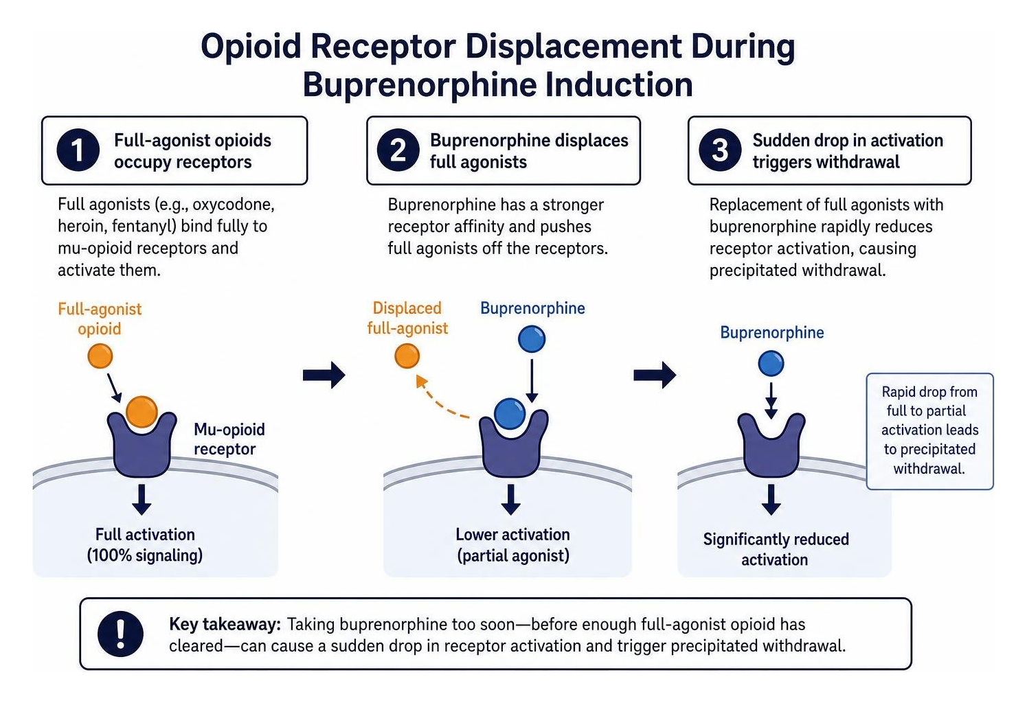 Opioid receptor displacement during buprenorphine induction Opioid receptor displacement during buprenorphine induction