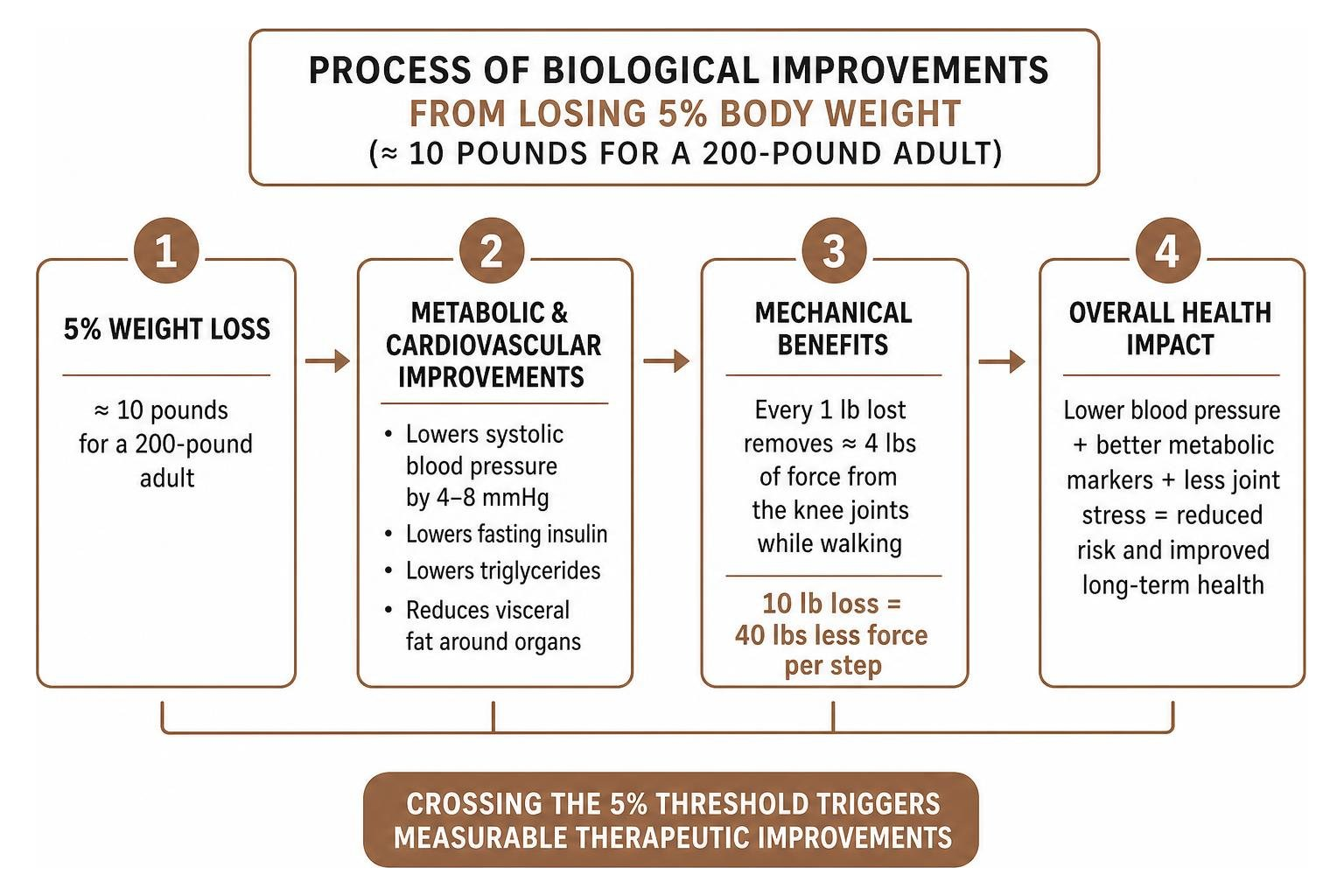 Process of biological improvements from losing 5 percent body weight Process of biological improvements from losing 5 percent body weight