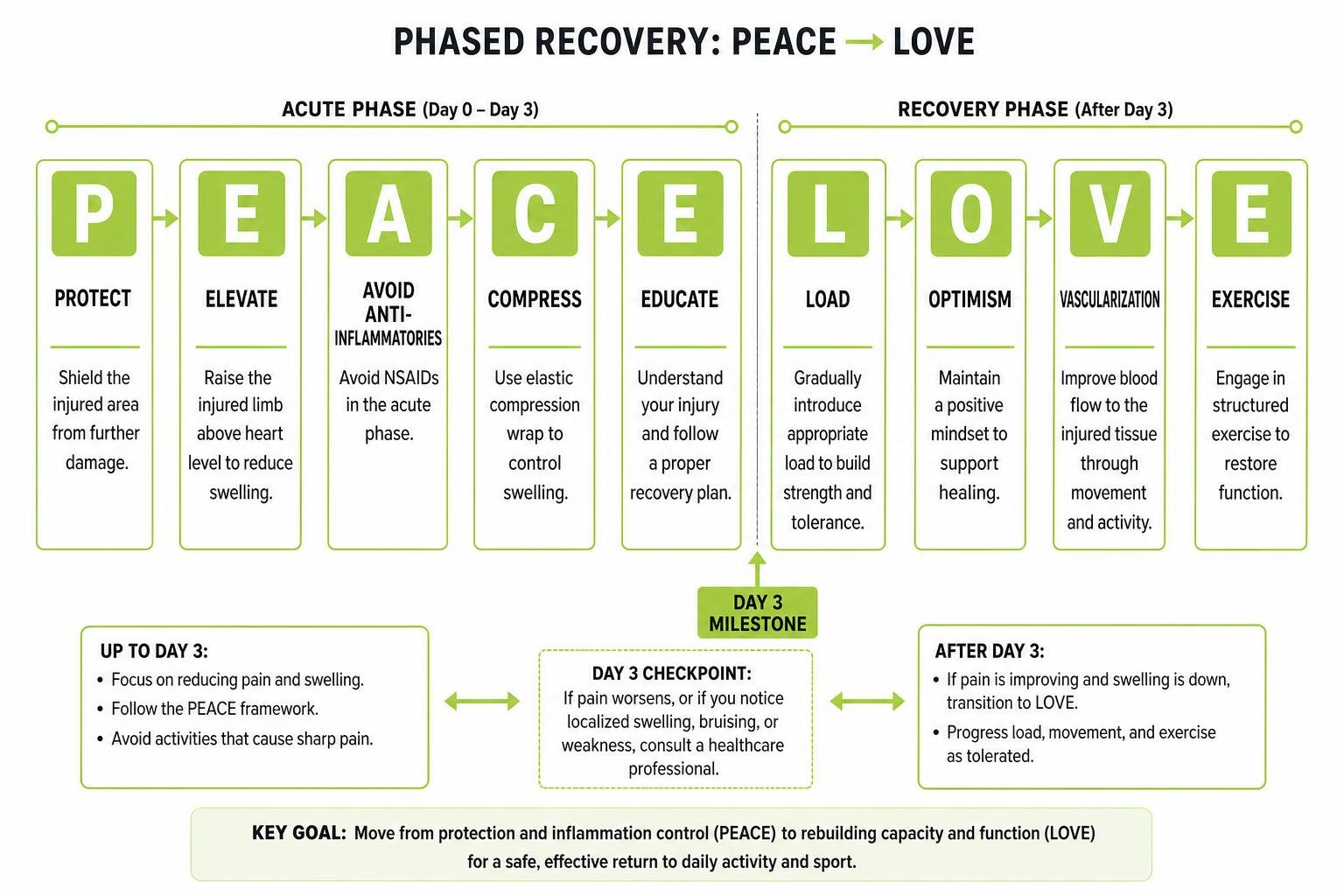 Diagram showing the phased transition from PEACE to LOVE for muscle strain recovery