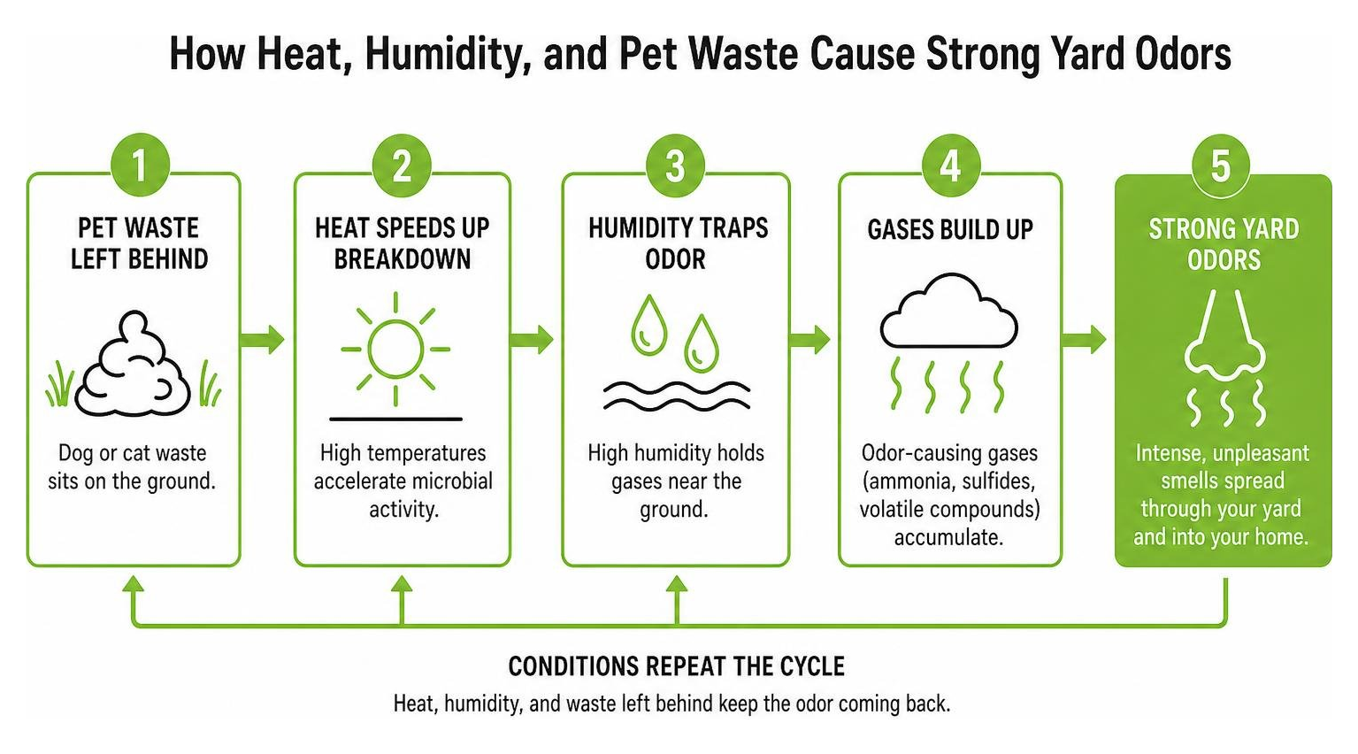 Diagram showing how heat humidity and pet waste cause strong yard odors