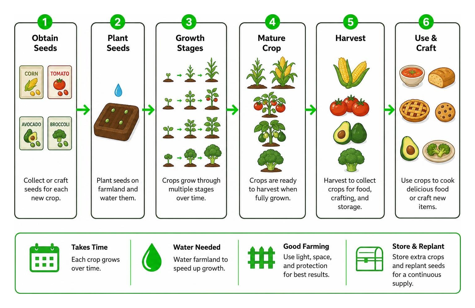Crop growth and harvesting process diagram