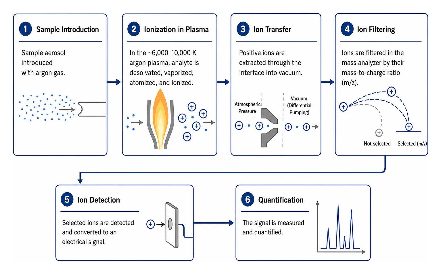 Step-by-step ionization and ion filtering path in ICP-MS Step-by-step ionization and ion filtering path in ICP-MS