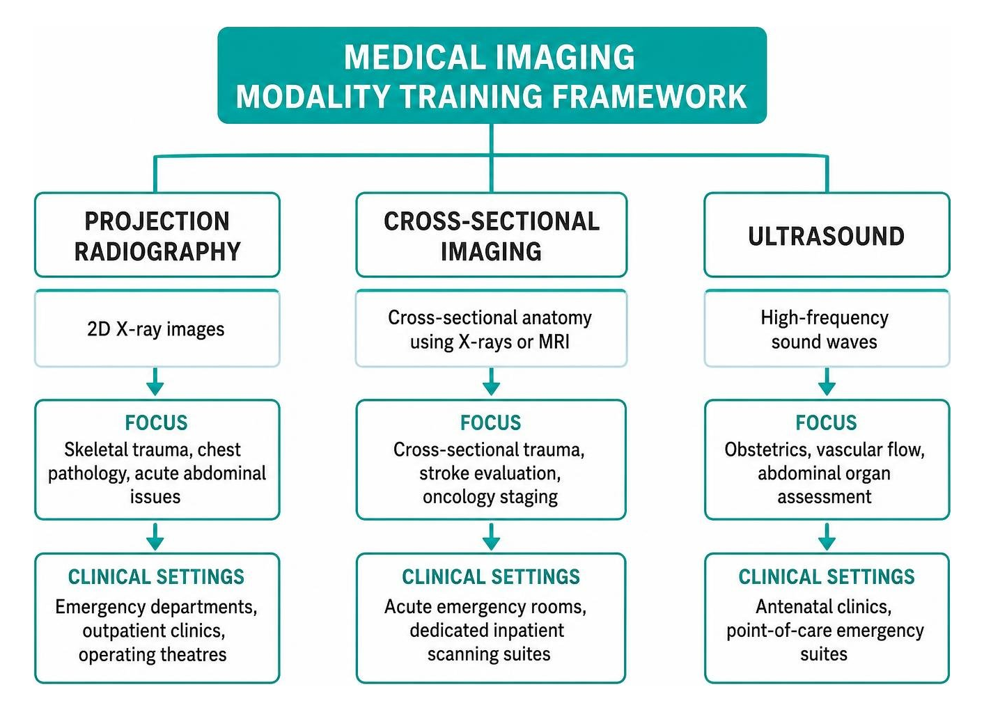 Medical imaging modality training framework: projection radiography, cross-sectional imaging, and ultrasound Medical imaging modality training framework: projection radiography, cross-sectional imaging, and ultrasound
