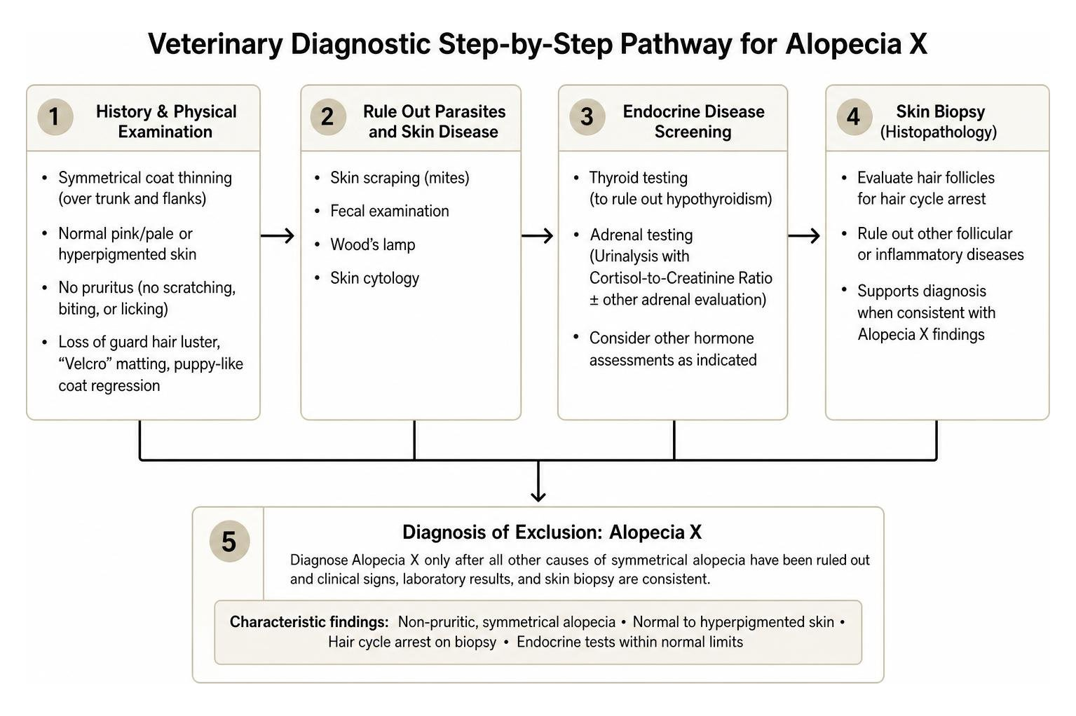 Veterinary diagnostic step by step pathway for Alopecia X Veterinary diagnostic step by step pathway for Alopecia X
