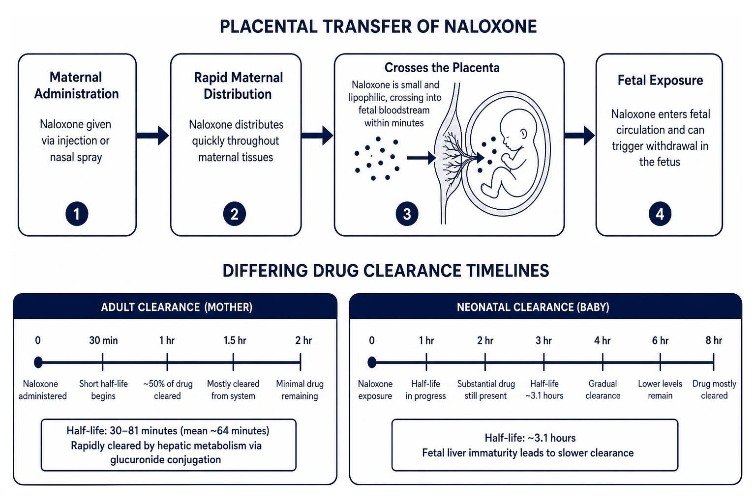 Placental transfer of naloxone and differing adult versus neonatal drug clearance timelines Placental transfer of naloxone and differing adult versus neonatal drug clearance timelines