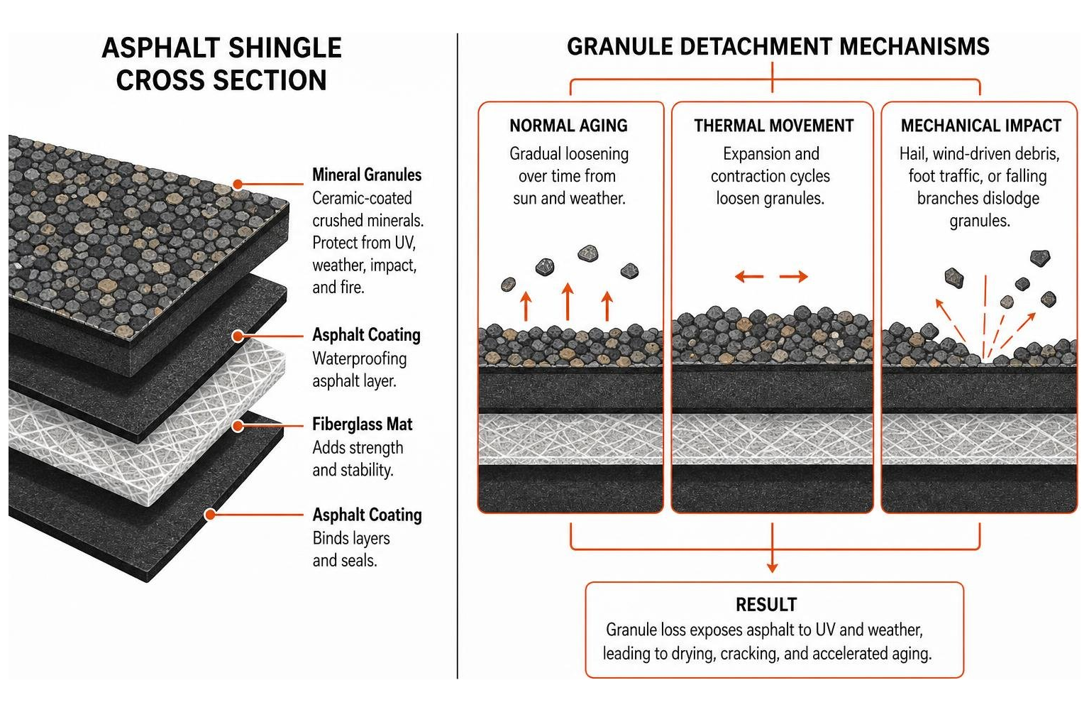 diagram illustrating shingle cross section and granule detachment mechanisms