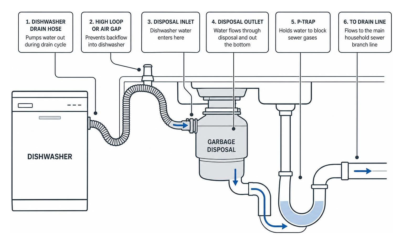 Diagram of dishwasher to garbage disposal and P-trap drainage path Diagram of dishwasher to garbage disposal and P-trap drainage path