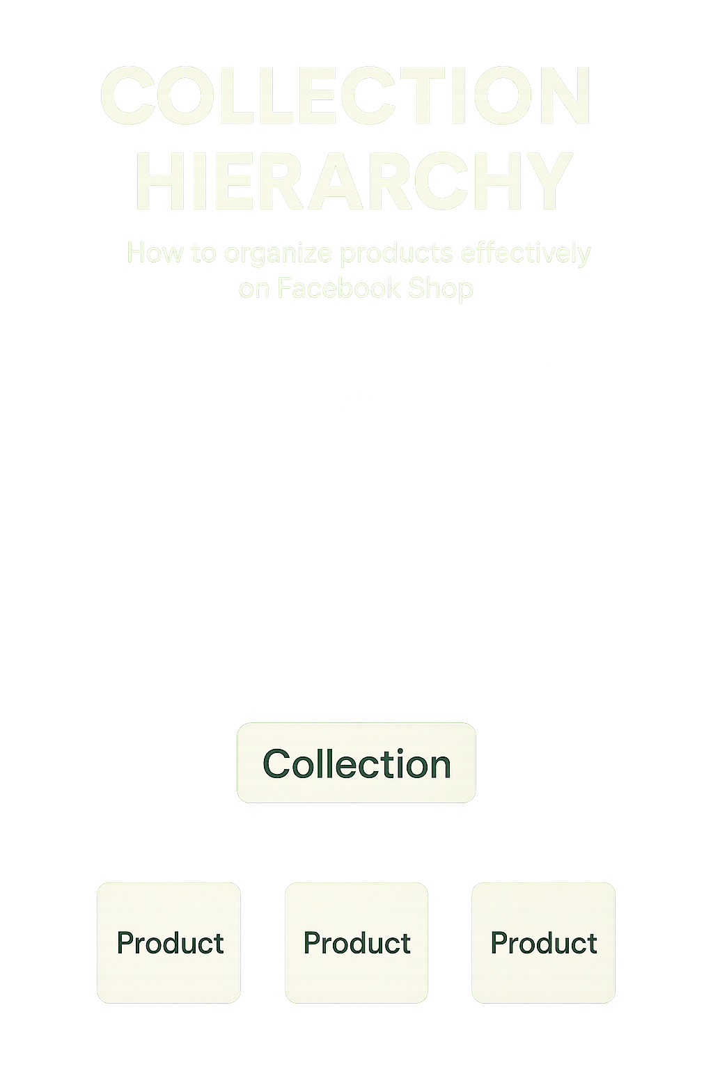 Collection hierarchy showing how to organize products effectively on Facebook Shop - shopify facebook shop setup infographic 