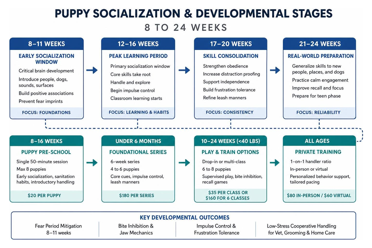Puppy socialization and developmental stages from 8 to 24 weeks Puppy socialization and developmental stages from 8 to 24 weeks