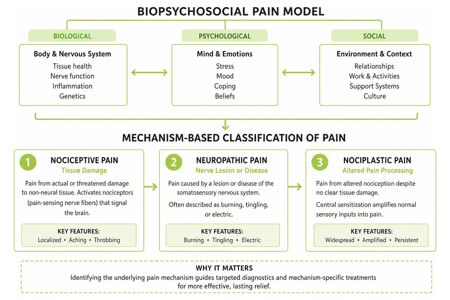 diagram of the biopsychosocial pain model and mechanism-based classification