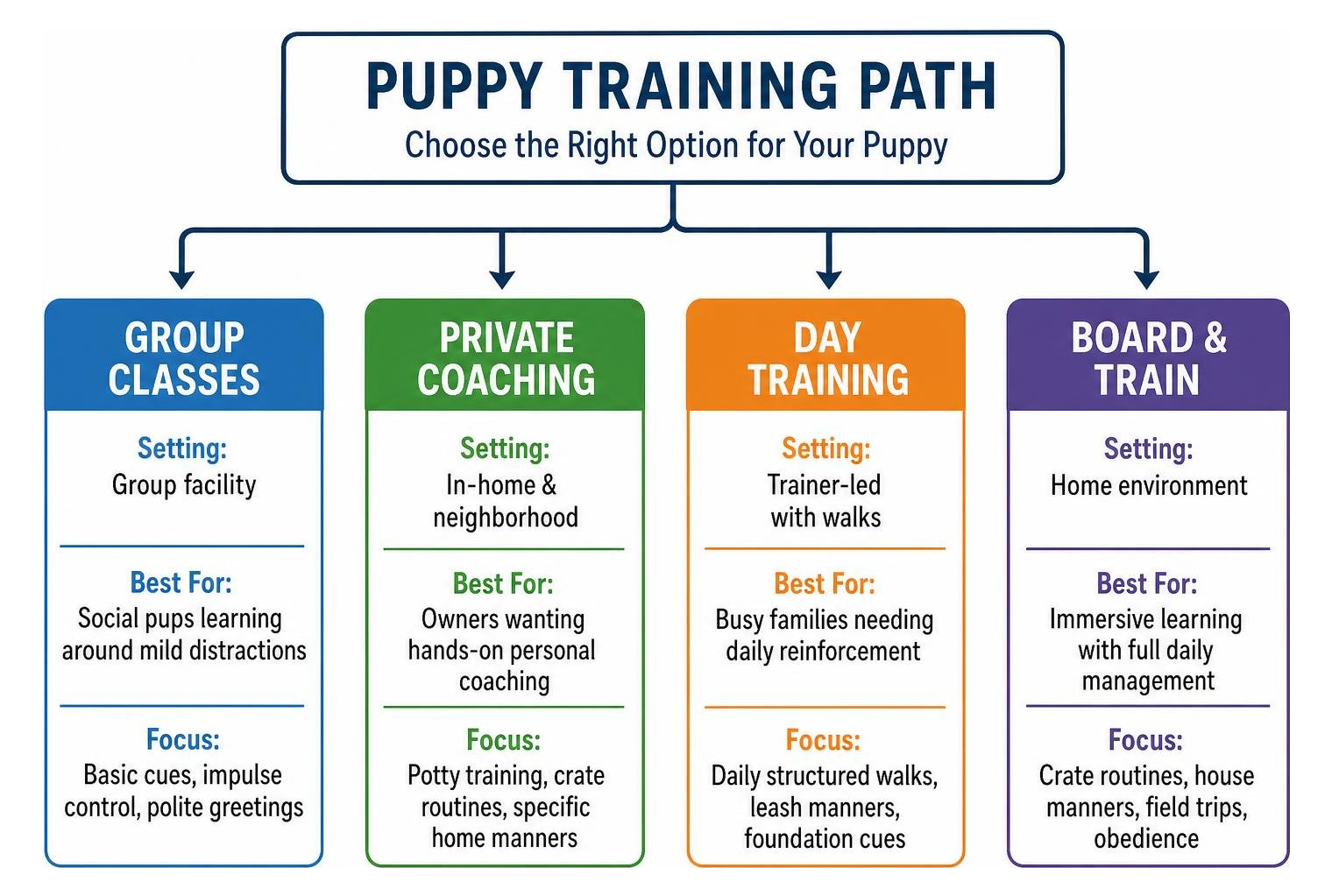 Puppy training path: choose between group classes, private coaching, day training, or board and train Puppy training path: choose between group classes, private coaching, day training, or board and train