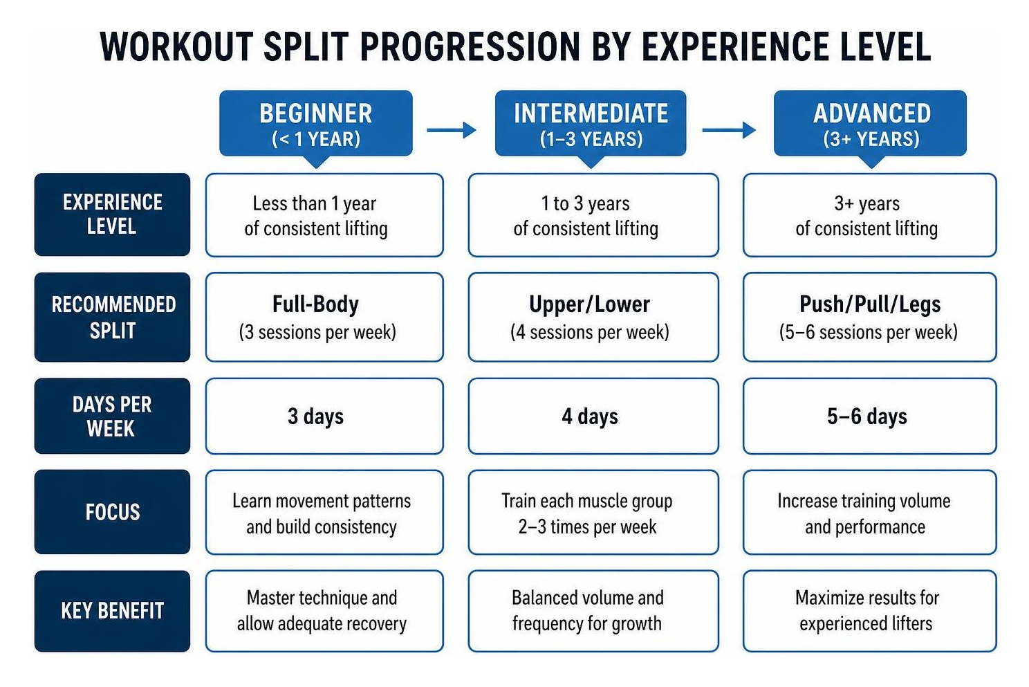 Workout split progression by experience level